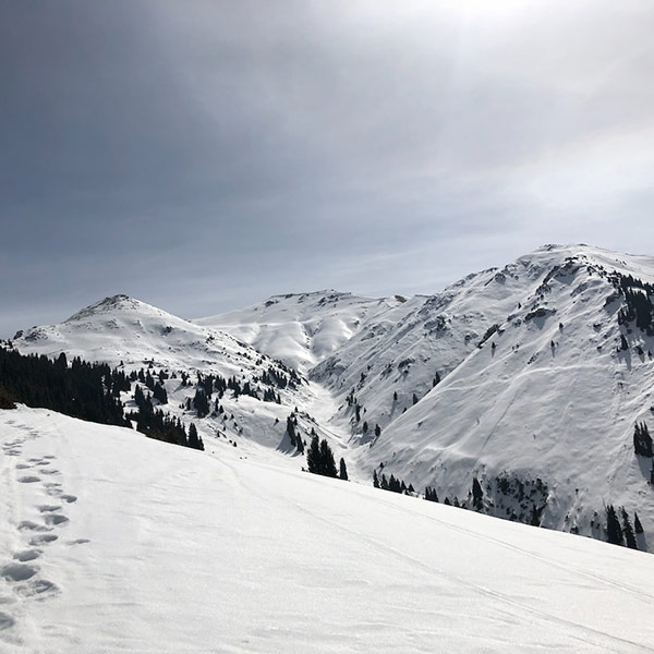 E5f2f09c80ae9cf6072302b8fbbaaf2c